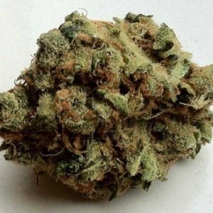 CBD Mango