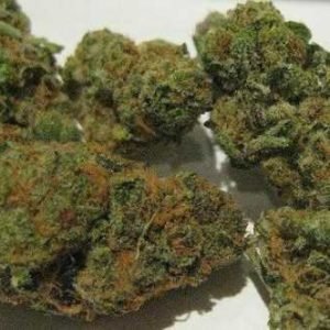 Girl Scout Cookies – Hybrid
