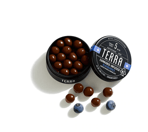 Terra Milk Chocolate Blueberries