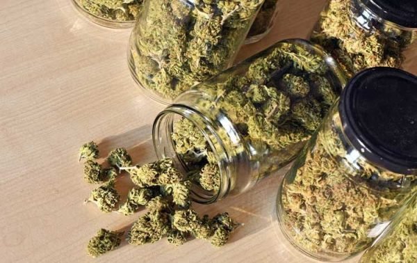 Best Marijuana strains for treating Alzheimer's disease